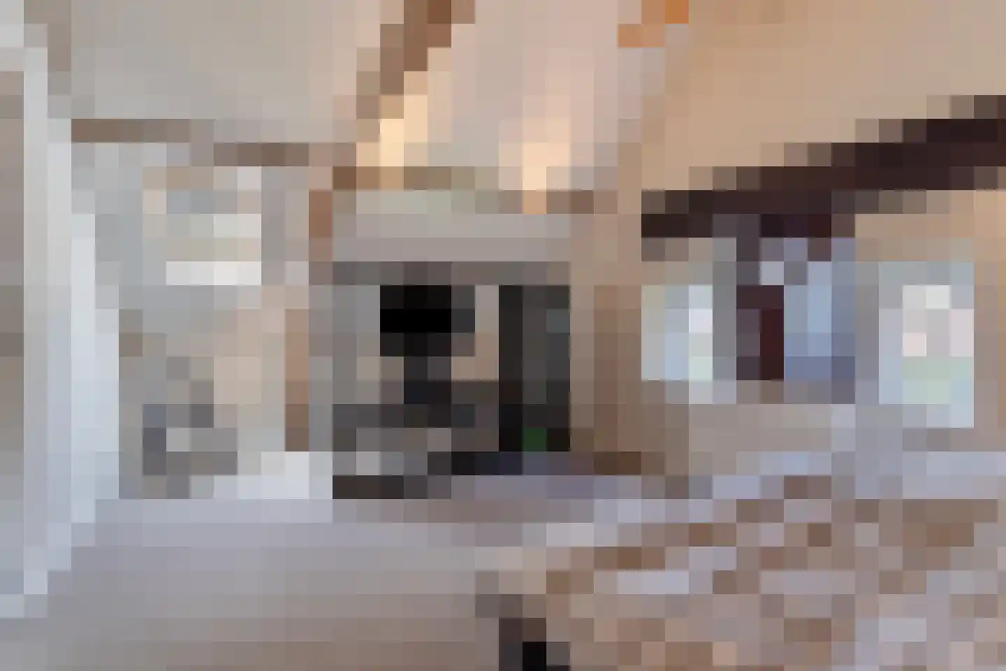 Dorpsstraat 10 Steenderen thumbnail 18