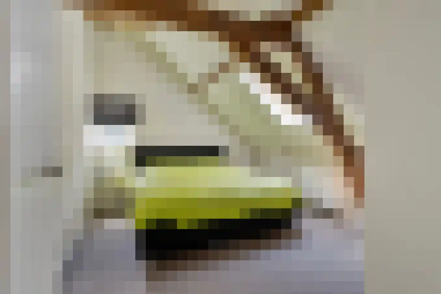Dorpsstraat 10 Steenderen thumbnail 21