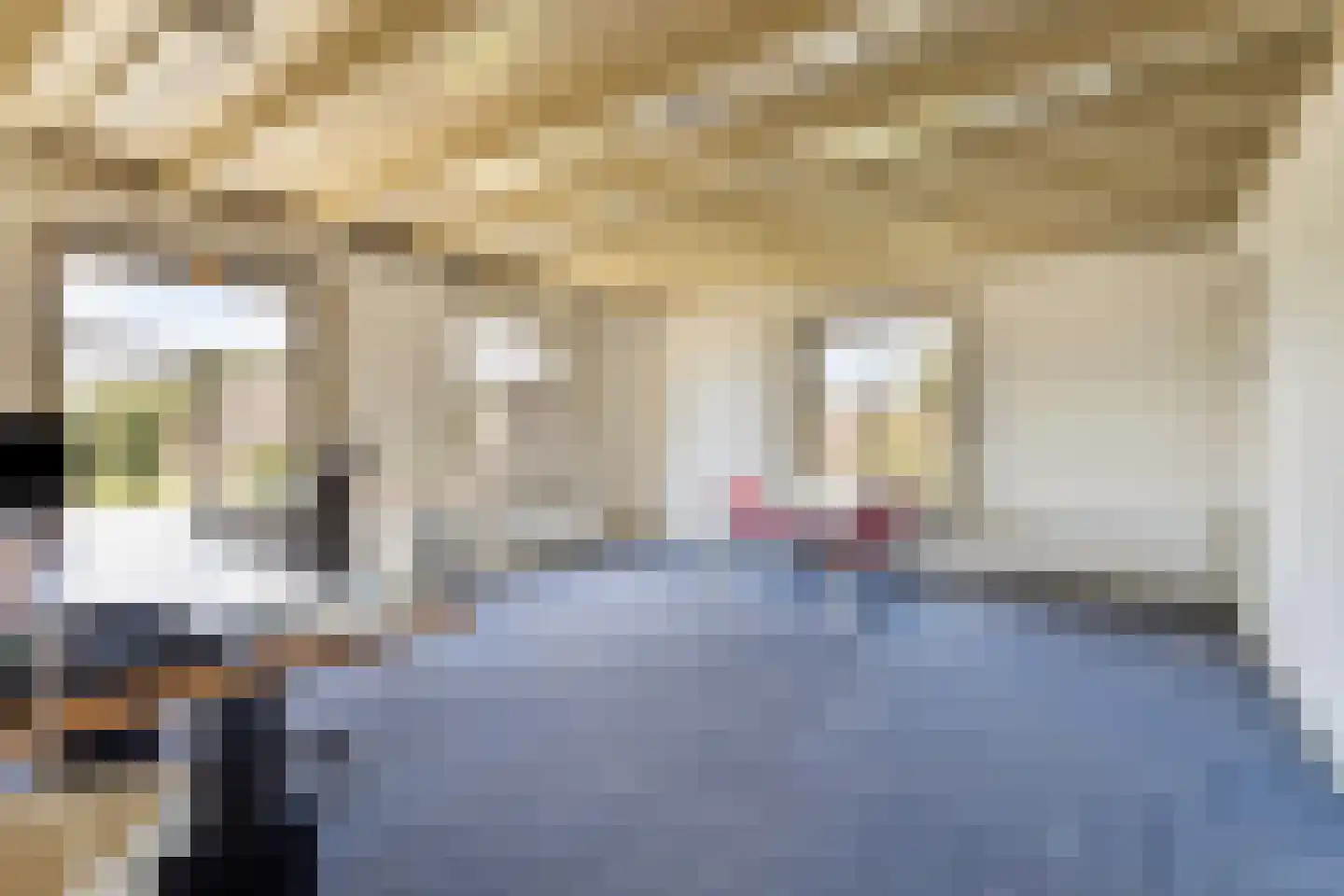 Dorpsstraat 10 Steenderen thumbnail 44