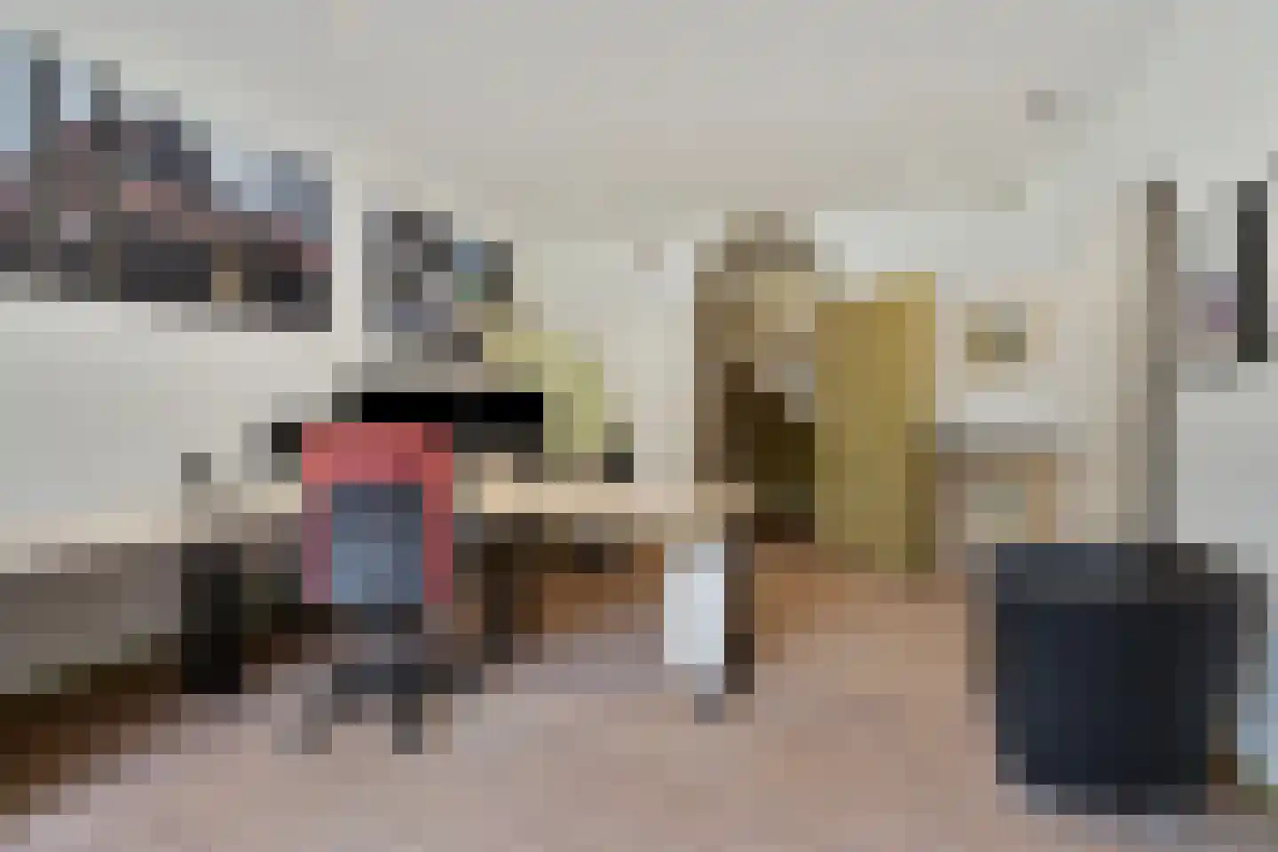 Dorpsstraat 10 Steenderen thumbnail 53
