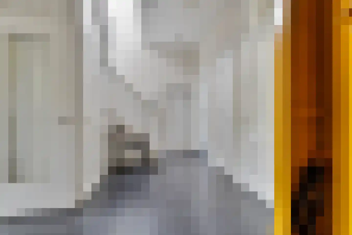 Dorpsstraat 10 Steenderen thumbnail 7