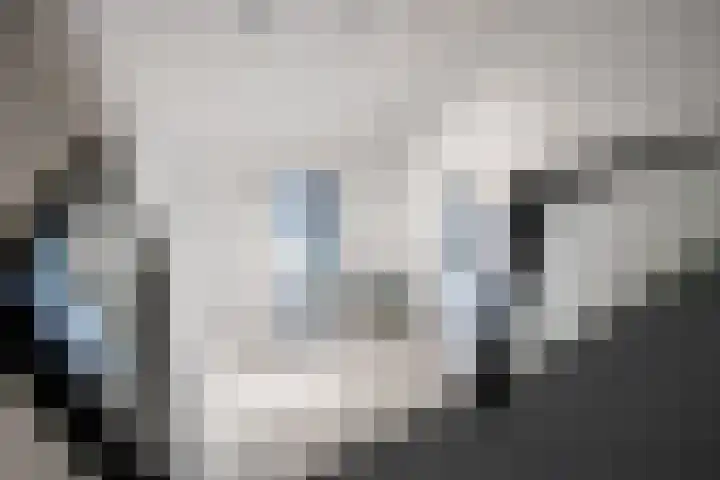 Dorpsstraat 104 Buggenum thumbnail 18