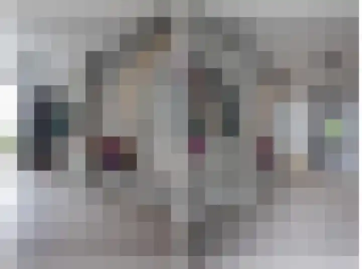 Dorpsstraat 104 Buggenum thumbnail 25