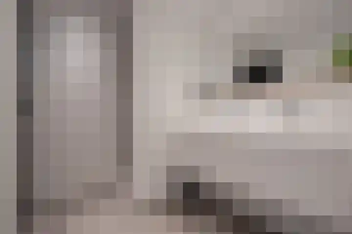 Dorpsstraat 104 Buggenum thumbnail 27