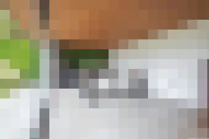 Dorpsstraat 104 Buggenum thumbnail 37