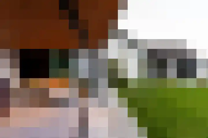 Dorpsstraat 104 Buggenum thumbnail 4