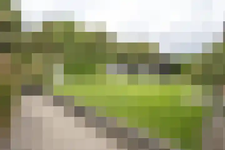 Dorpsstraat 104 Buggenum thumbnail 43