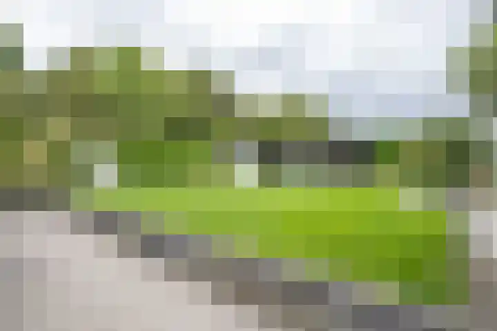 Dorpsstraat 104 Buggenum thumbnail 50