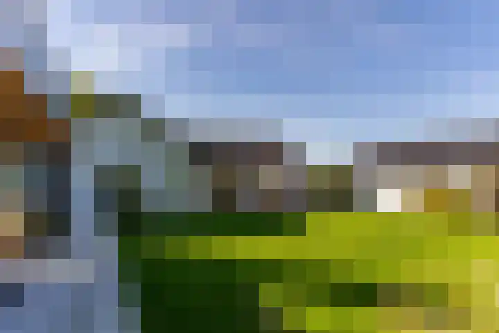 Dorpsstraat 104 Buggenum thumbnail 7