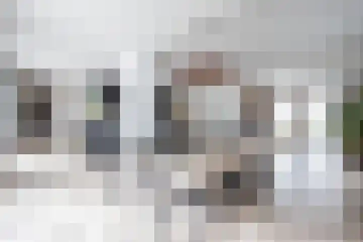 Dorpsstraat 104 Buggenum thumbnail 9
