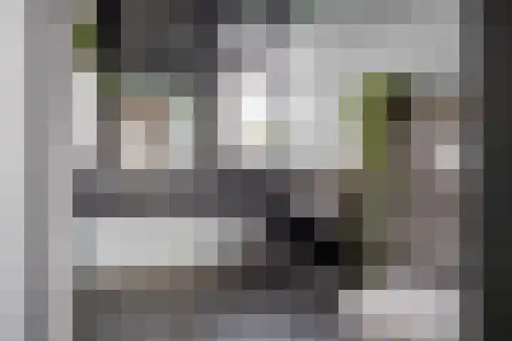 Dorpsstraat 107 Assendelft thumbnail 32