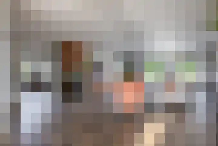 Dorpsstraat 107 Assendelft thumbnail 4