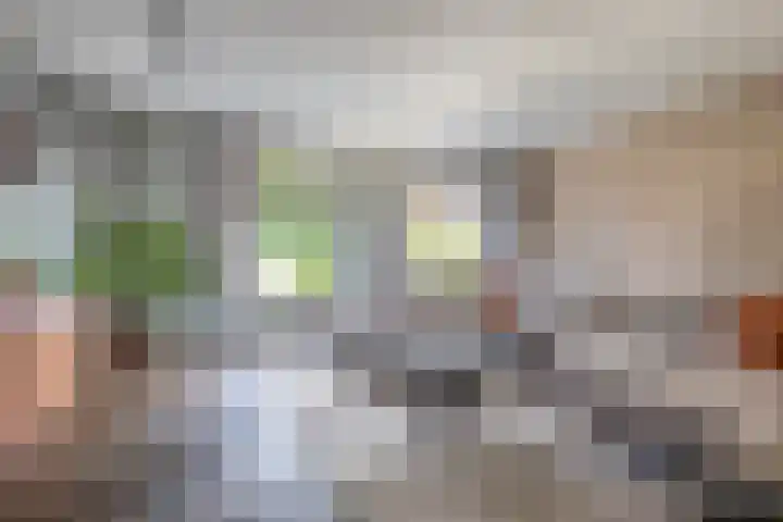 Dorpsstraat 107 Assendelft thumbnail 5