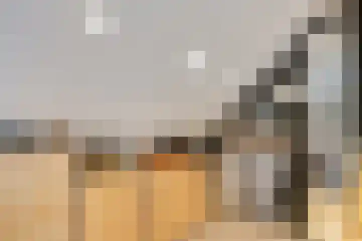 Dorpsstraat 11 Angerlo thumbnail 18