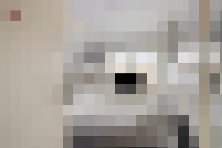 Dorpsstraat 11 Angerlo thumbnail 19