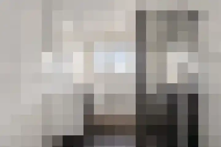 Dorpsstraat 11 Angerlo thumbnail 21