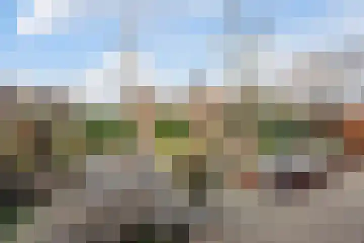 Dorpsstraat 11 Angerlo thumbnail 26