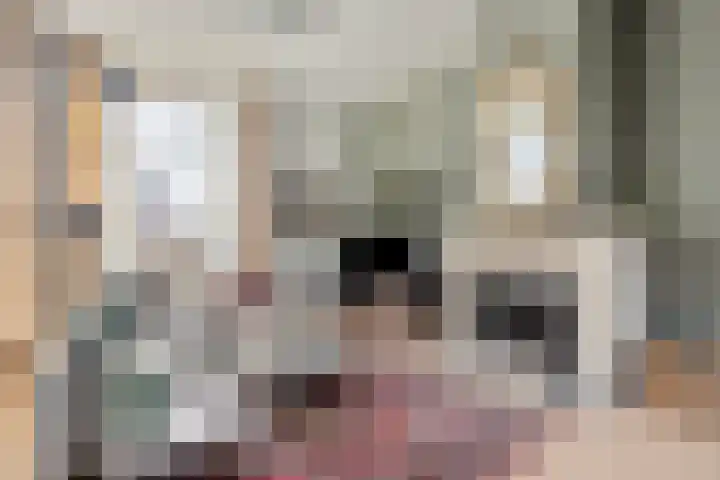 Dorpsstraat 11 Angerlo thumbnail 4