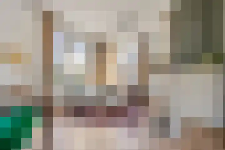Dorpsstraat 11 Angerlo thumbnail 5