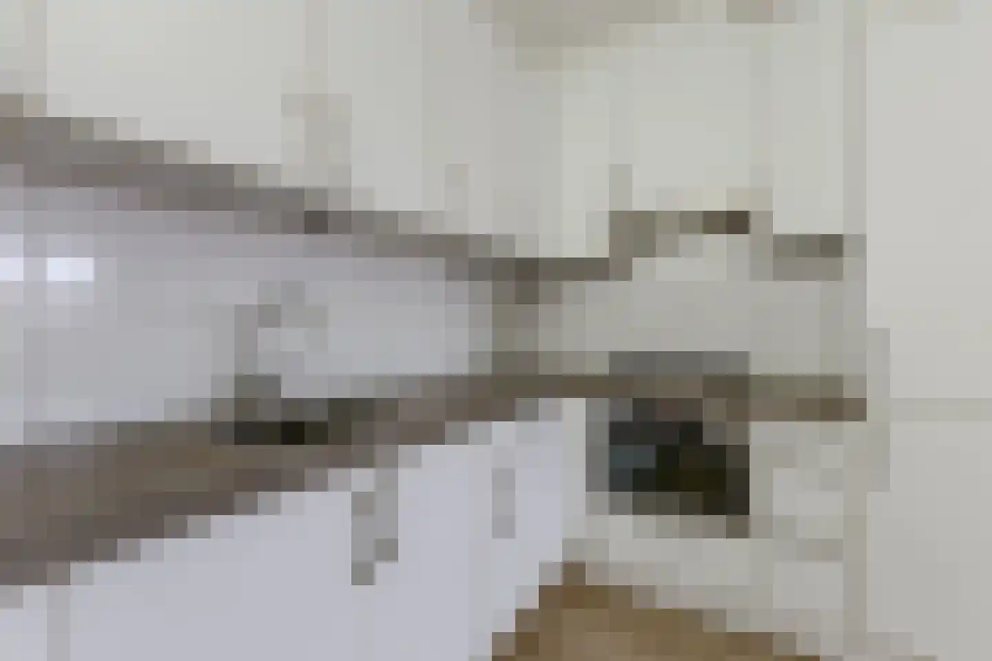 Dorpsstraat 12 E Wormer thumbnail 6