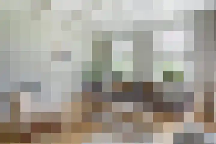 Dorpsstraat 12 Rhenoy thumbnail 11