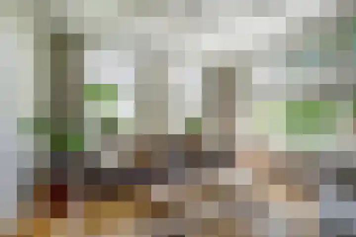 Dorpsstraat 12 Rhenoy thumbnail 12