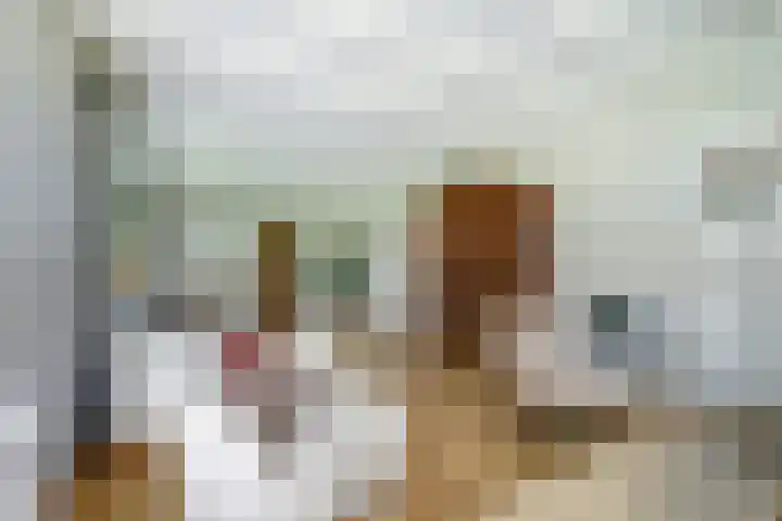 Dorpsstraat 12 Rhenoy thumbnail 13