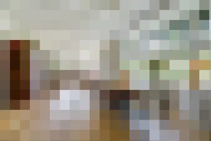 Dorpsstraat 12 Rhenoy thumbnail 14