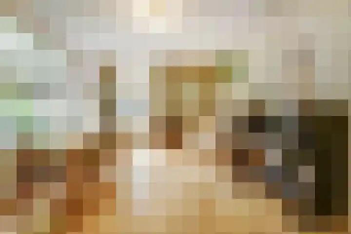 Dorpsstraat 12 Rhenoy thumbnail 17