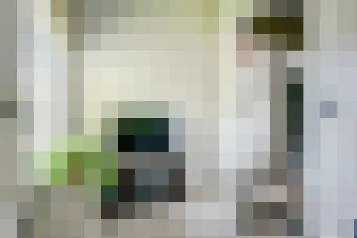 Dorpsstraat 12 Rhenoy thumbnail 34