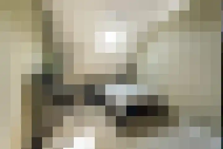 Dorpsstraat 12 Rhenoy thumbnail 35