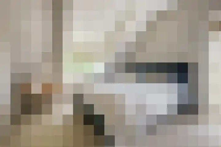 Dorpsstraat 12 Rhenoy thumbnail 37