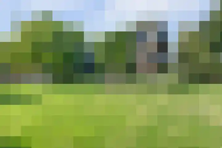 Dorpsstraat 12 Rhenoy thumbnail 58