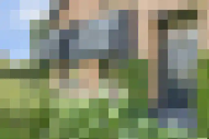 Dorpsstraat 12 Rhenoy thumbnail 6