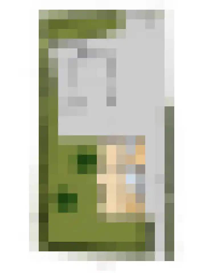 Dorpsstraat 12 Rhenoy thumbnail 68