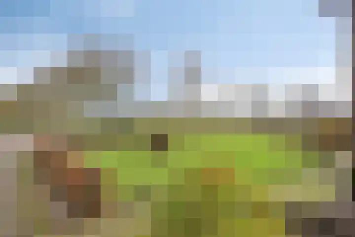 Dorpsstraat 13 Ledeacker thumbnail 10