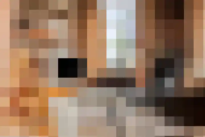 Dorpsstraat 13 Ledeacker thumbnail 27