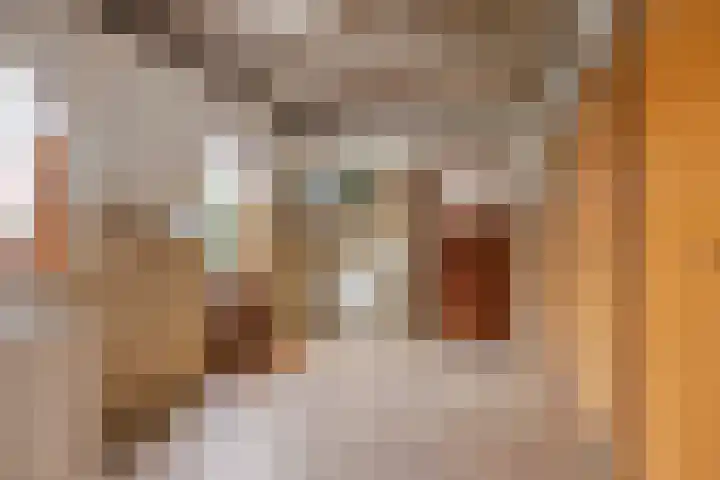 Dorpsstraat 13 Ledeacker thumbnail 36
