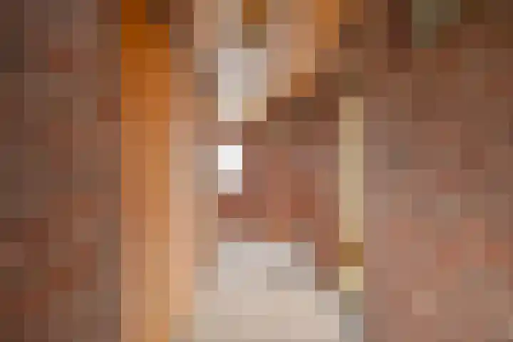 Dorpsstraat 13 Ledeacker thumbnail 45