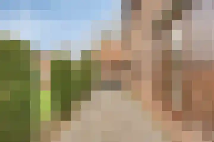 Dorpsstraat 13 Ledeacker thumbnail 60