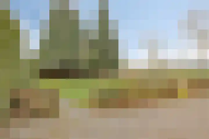 Dorpsstraat 13 Ledeacker thumbnail 62