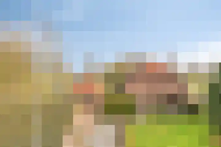 Dorpsstraat 13 Ledeacker thumbnail 69