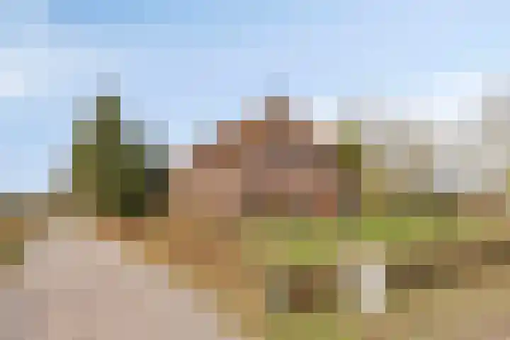 Dorpsstraat 13 Ledeacker thumbnail 7