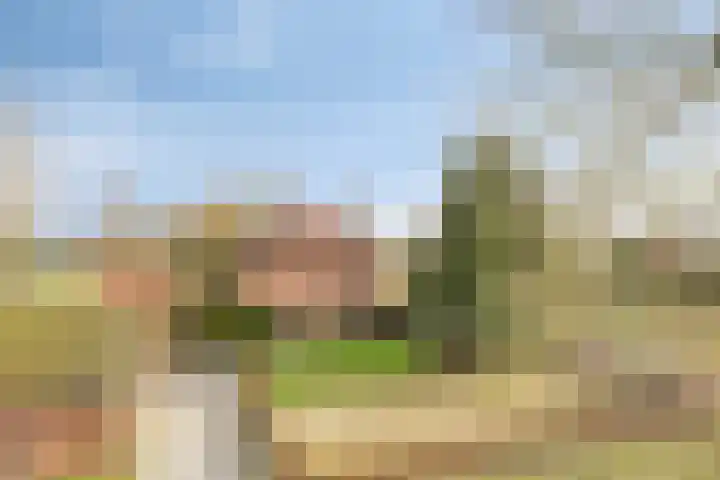 Dorpsstraat 13 Ledeacker thumbnail 71