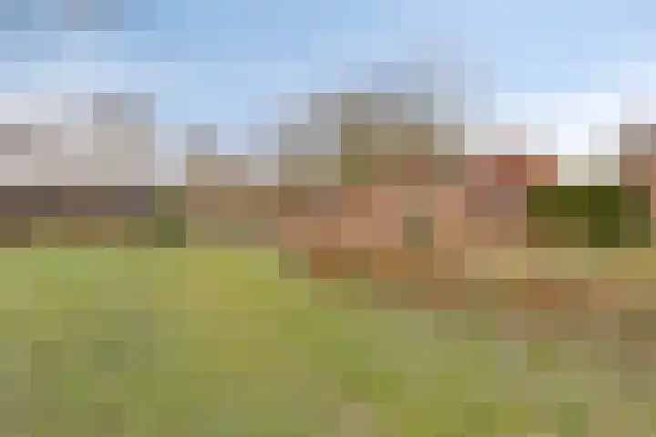 Dorpsstraat 13 Ledeacker thumbnail 73