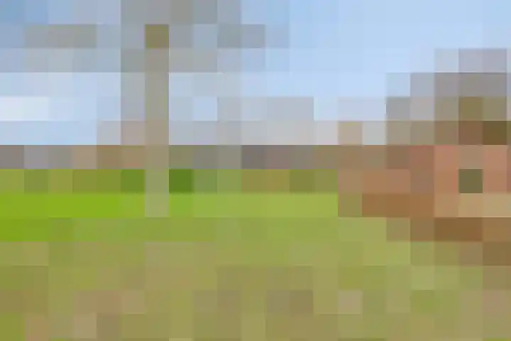 Dorpsstraat 13 Ledeacker thumbnail 75