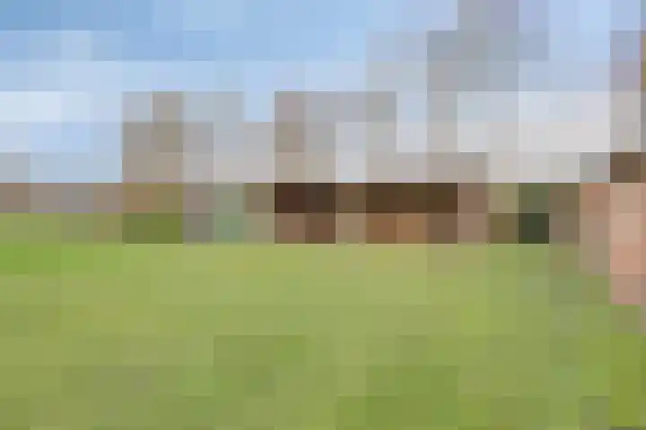 Dorpsstraat 13 Ledeacker thumbnail 79
