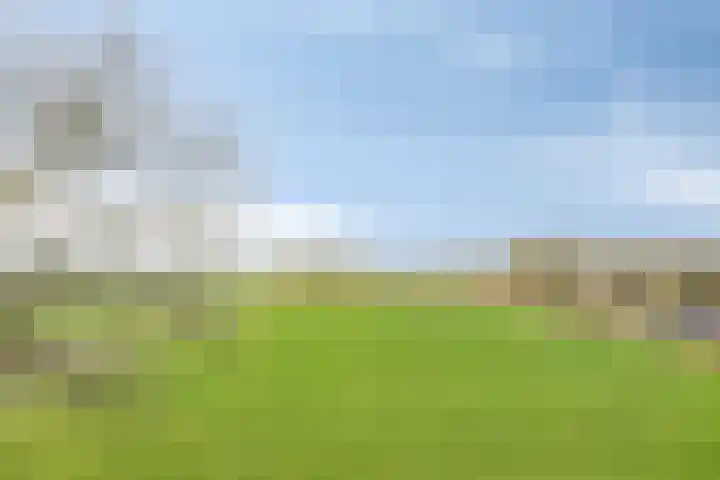 Dorpsstraat 13 Ledeacker thumbnail 86