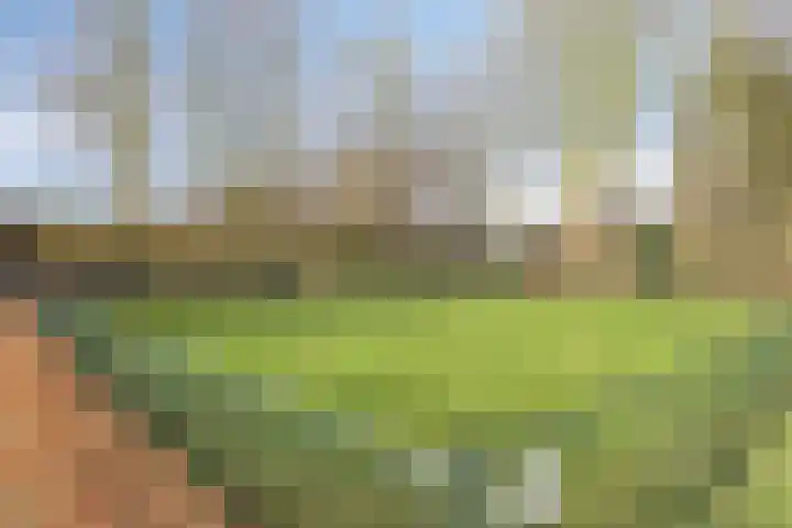 Dorpsstraat 13 Ledeacker thumbnail 9