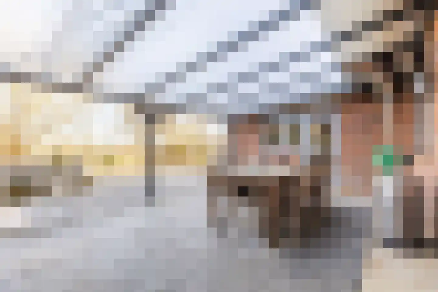 Dorpsstraat 138 B Assendelft thumbnail 49